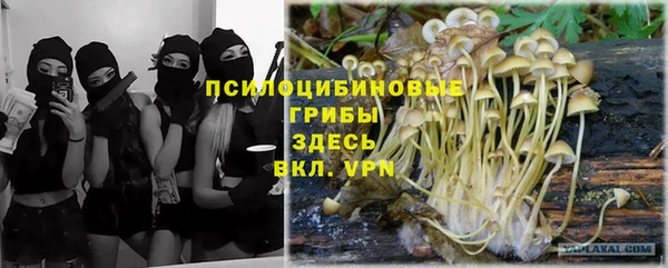 альфа пвп Алексеевка